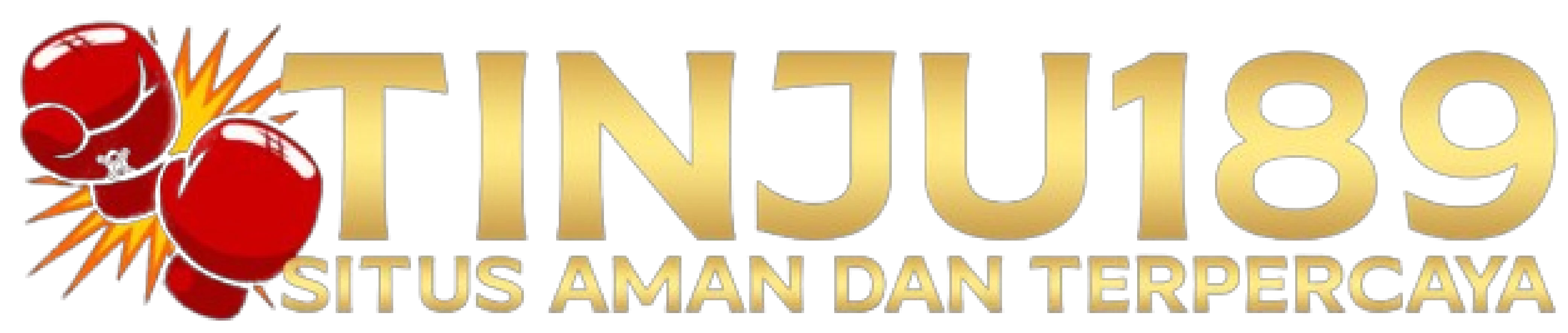 logo TINJU189